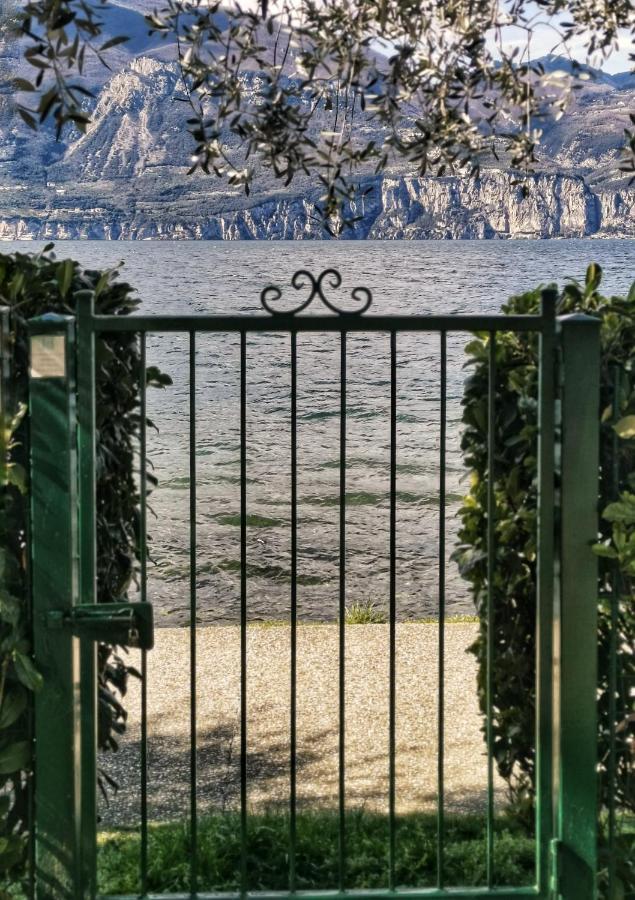 Camping Baldo Brenzone sul Garda Esterno foto