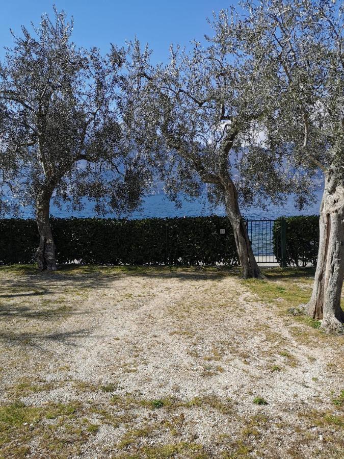 Camping Baldo Brenzone sul Garda Esterno foto