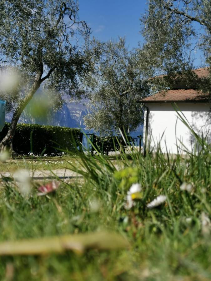 Camping Baldo Brenzone sul Garda Esterno foto