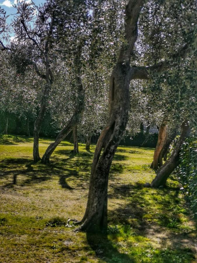 Camping Baldo Brenzone sul Garda Esterno foto