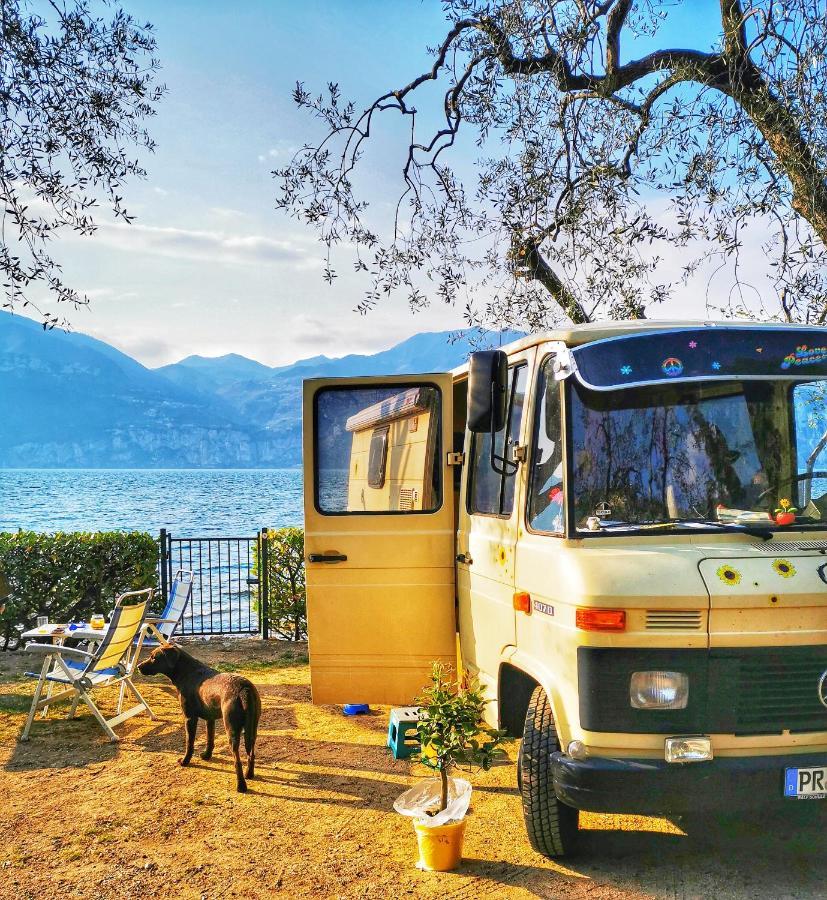 Camping Baldo Brenzone sul Garda Esterno foto