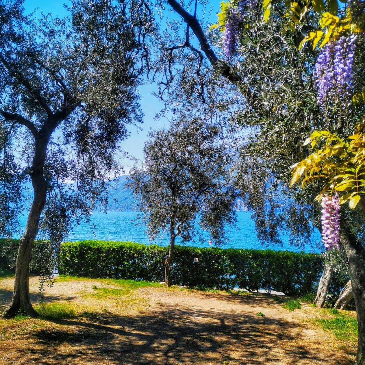 Camping Baldo Brenzone sul Garda Esterno foto